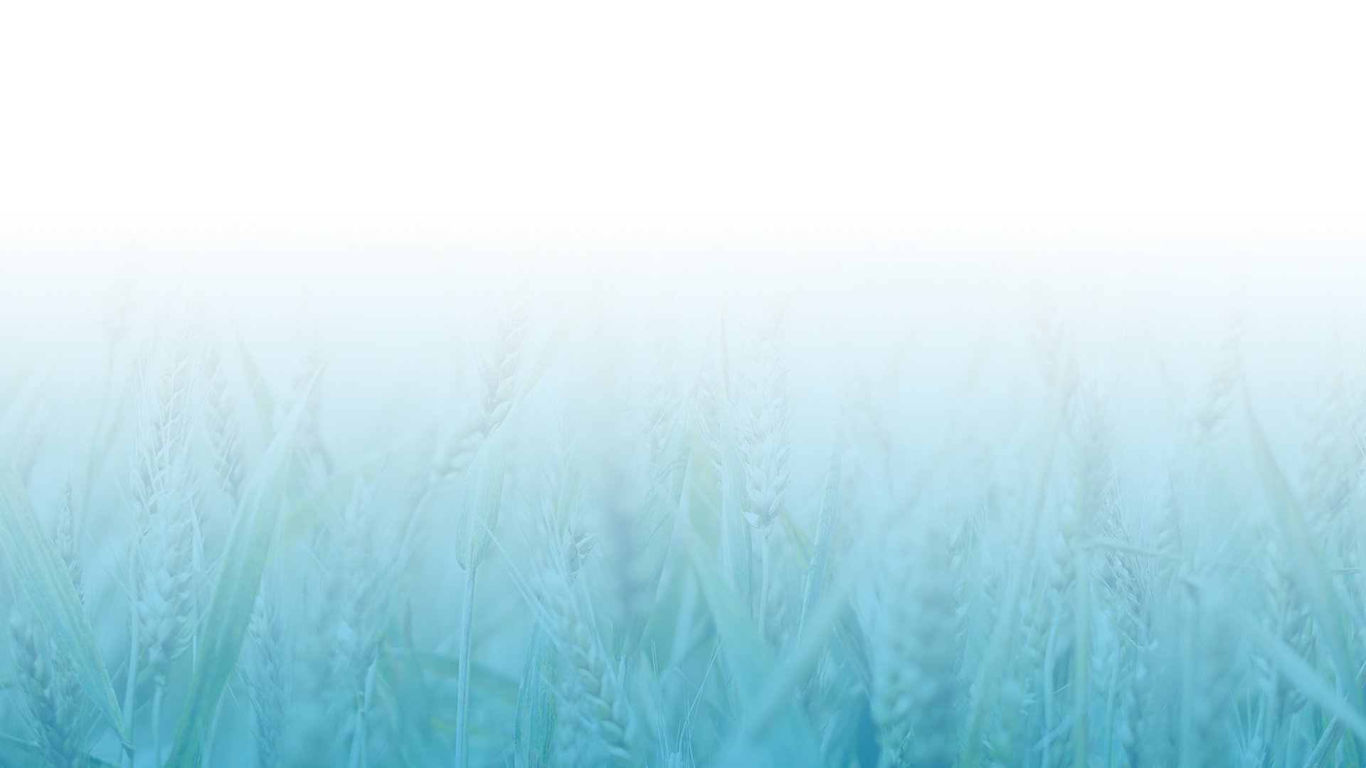ThinkWater Header Image_grad