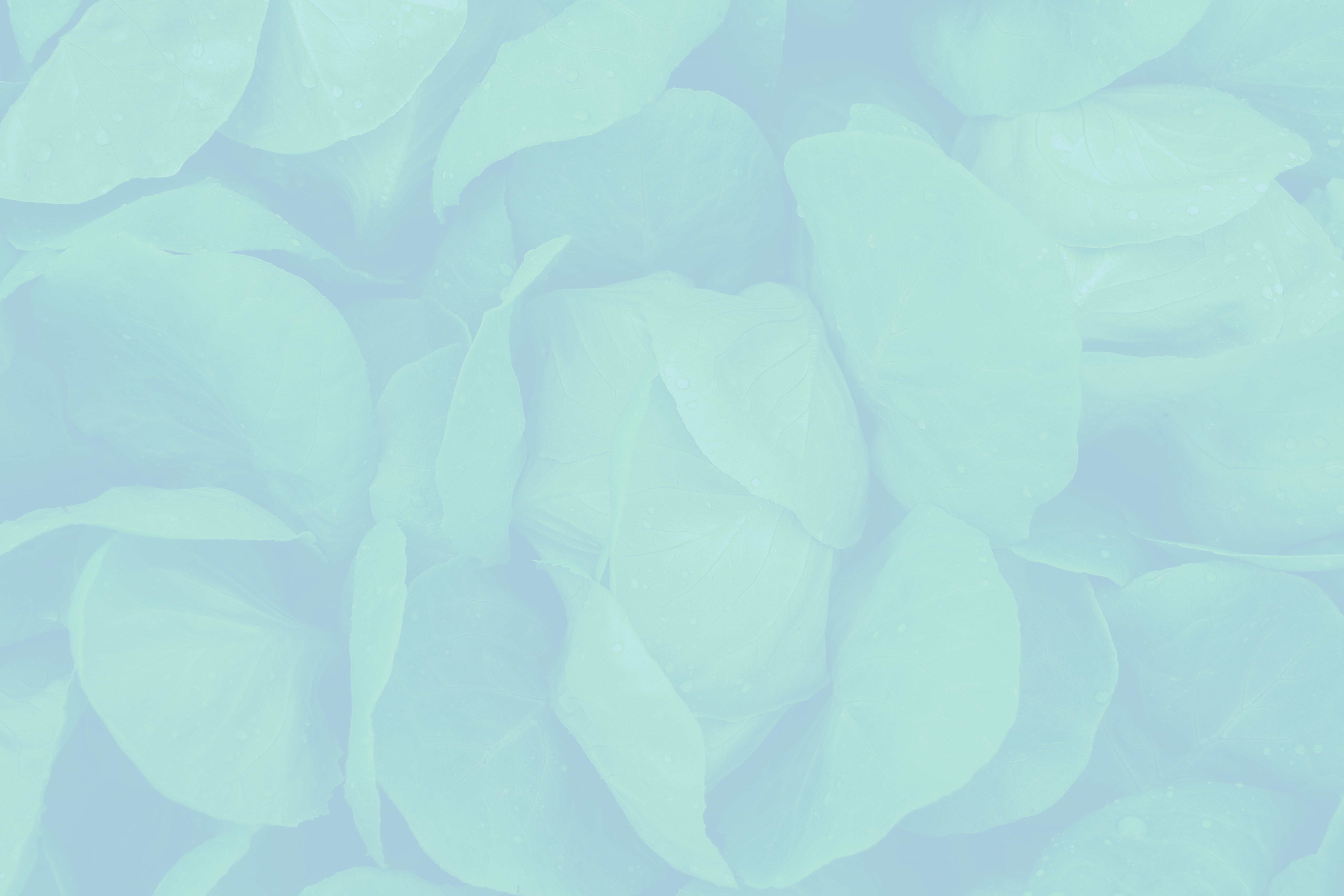 ThinkWater content section Image